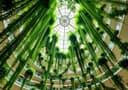 The Evergreen Atrium